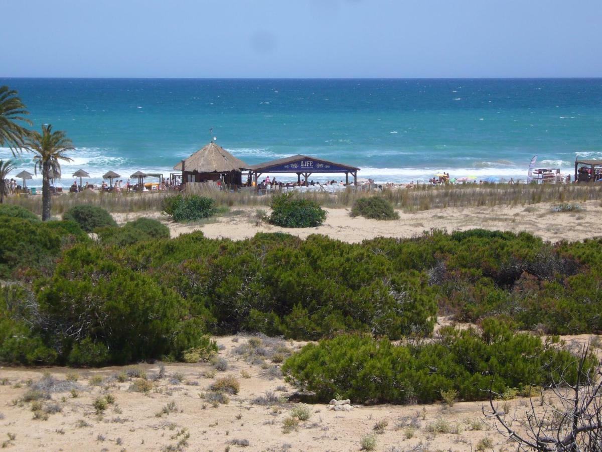 Descansa Y Disfruta De Las Mejores Playas Arenales del Sol Buitenkant foto